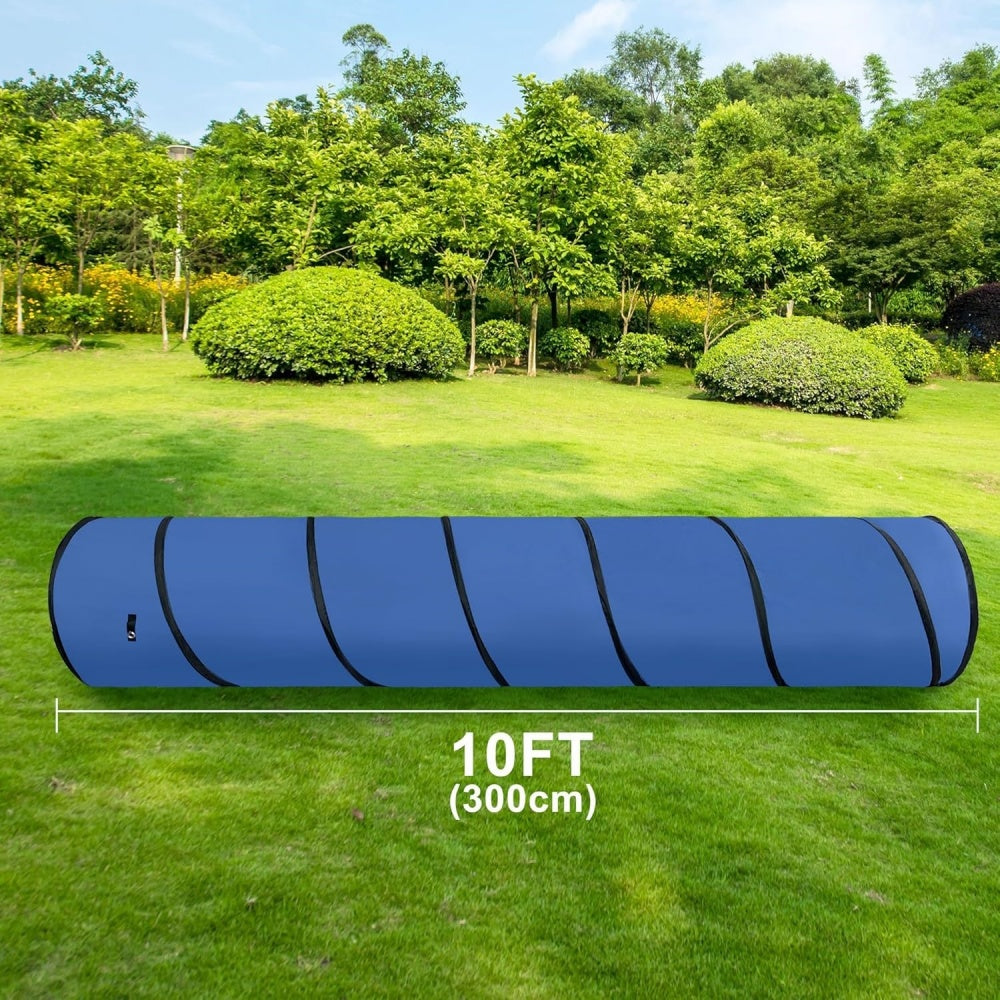 Adjustable Dog Agility Equipment